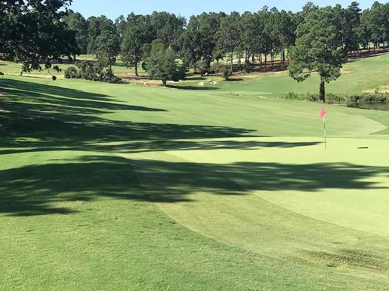 Red flag on golf course fairway