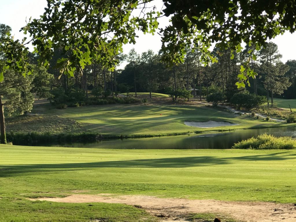 Golf course green with trees