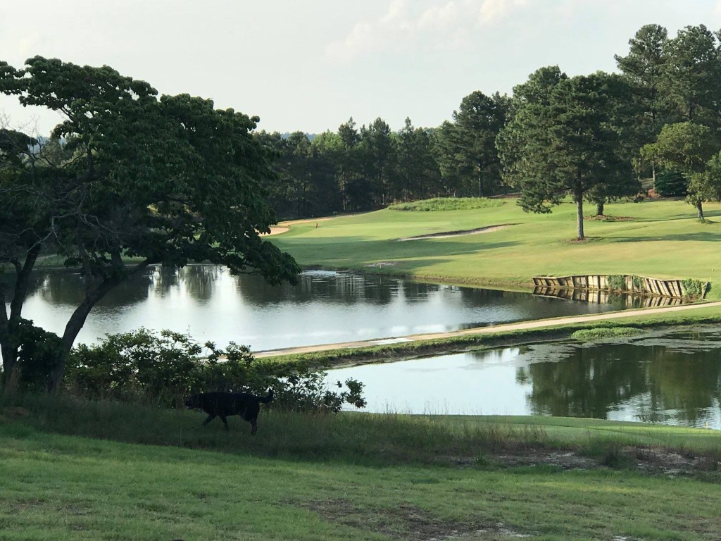 View of pond on golf course